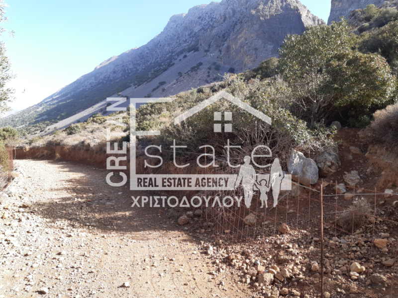 property-img