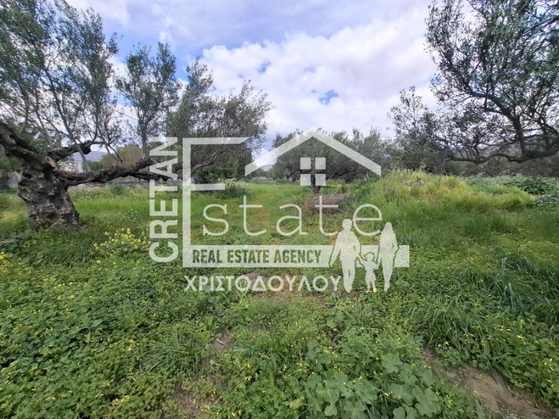 property-img